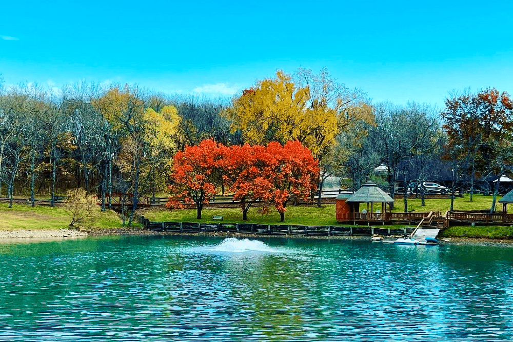 Pond with trees behind with fall colors with a gazebo along the waters edge