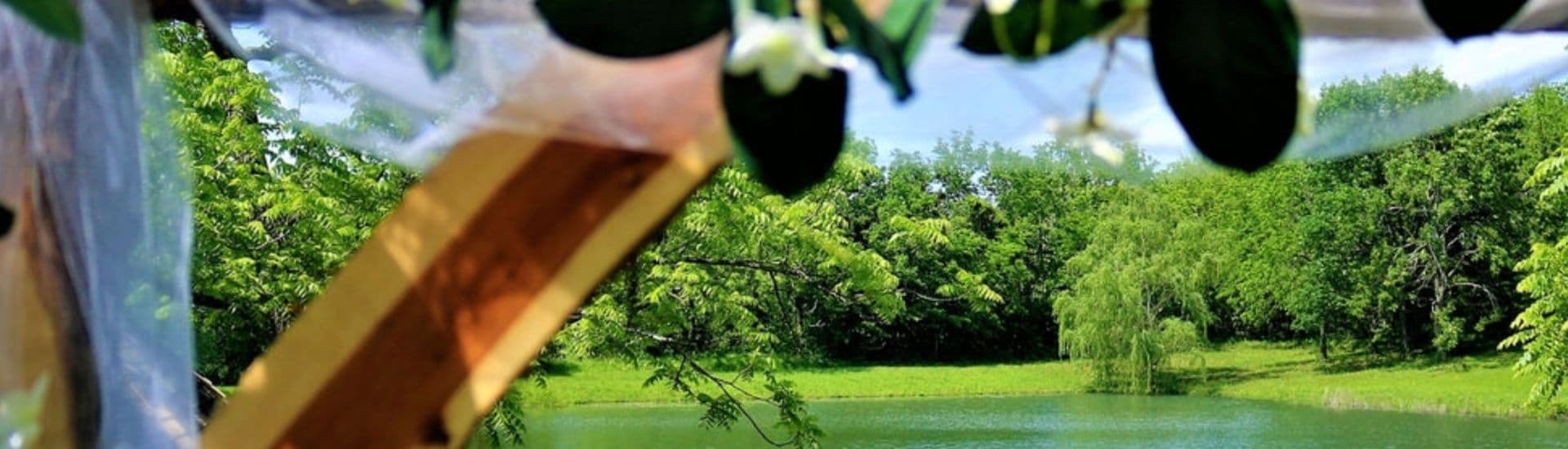 Pergola with white tulle overlooking pond with greenery