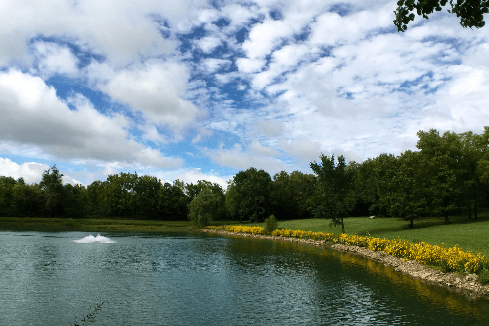 "Large pond with small fountain surrounded by trees and lined with yellow wildflowers