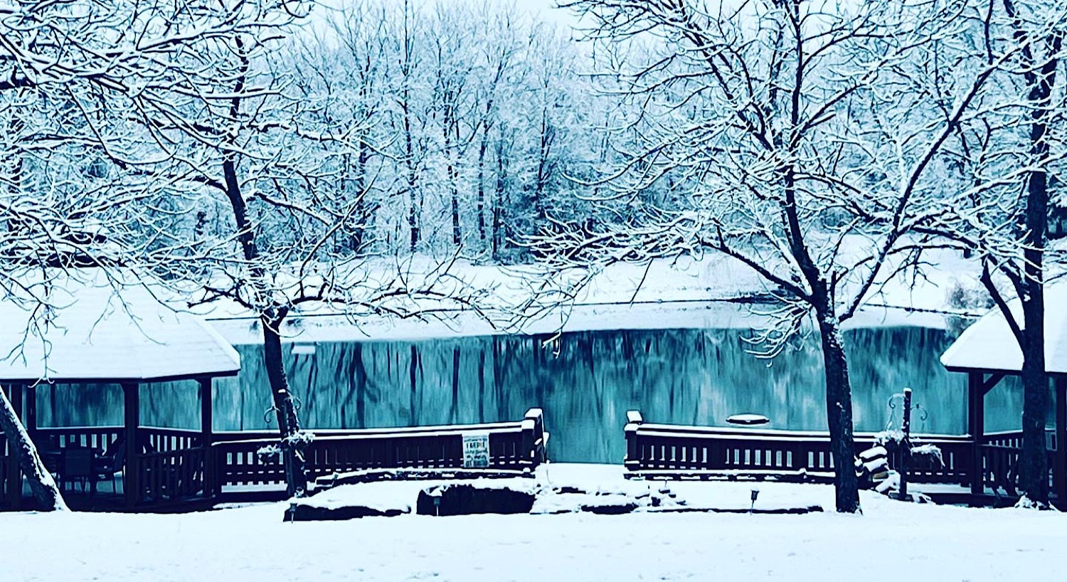 winter picture of snow covered pond