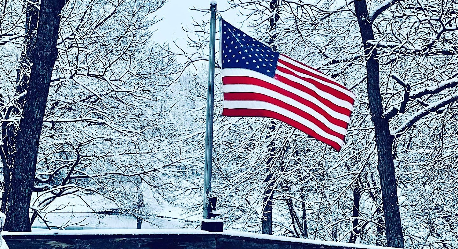 winter picture of American flag and snow covered trees