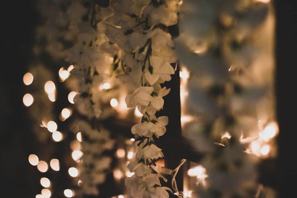 white flowers and lights