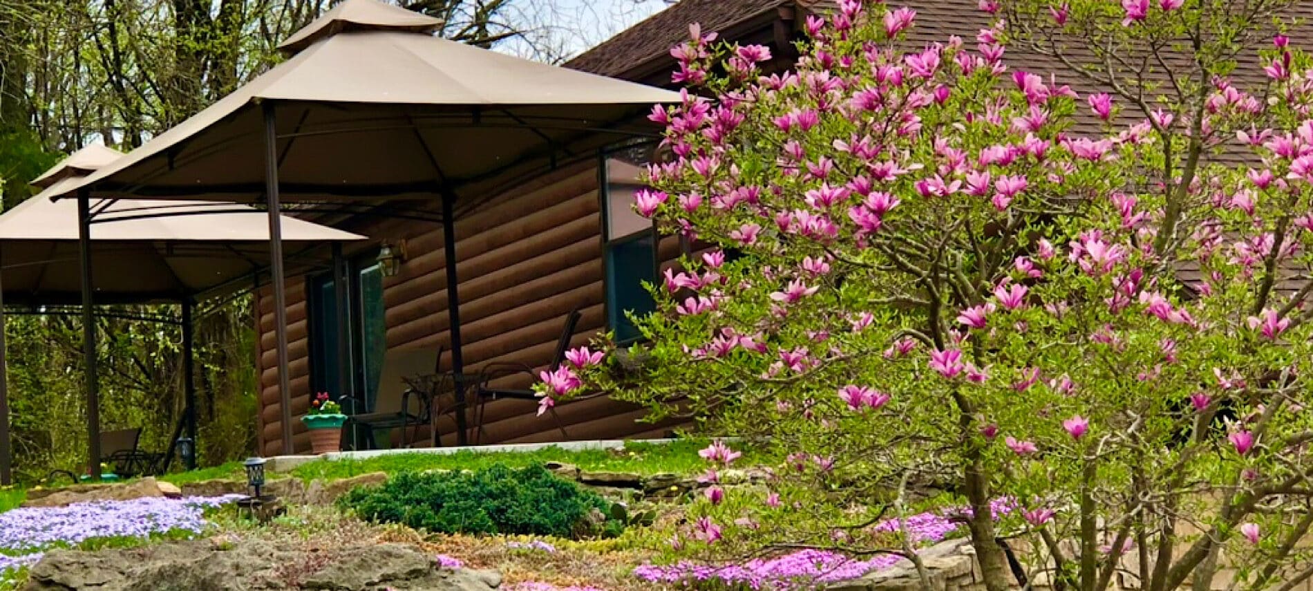 Magnolia Tree with log home and two gazebos in background