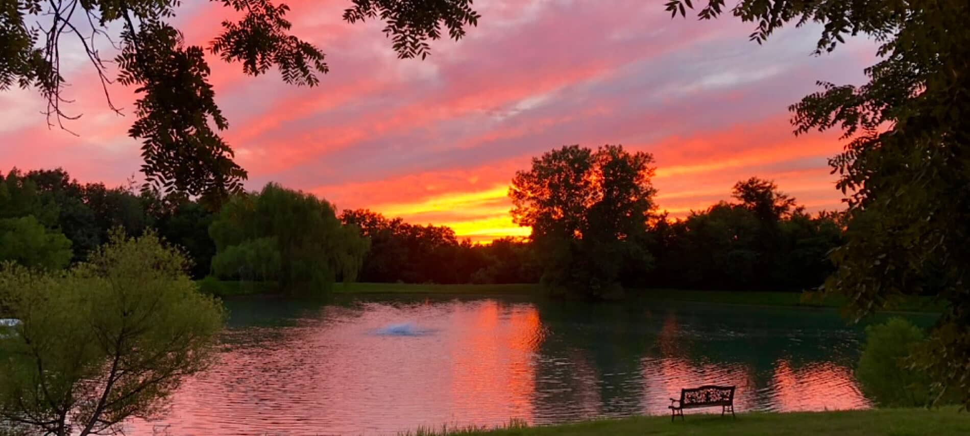sunset over a pond with tree on the shoreline