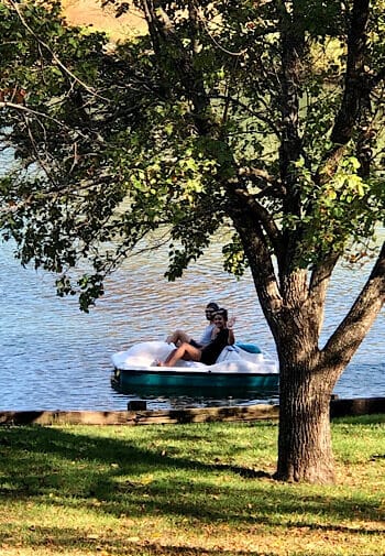 A couple in a paddleboat on a pond under a tree